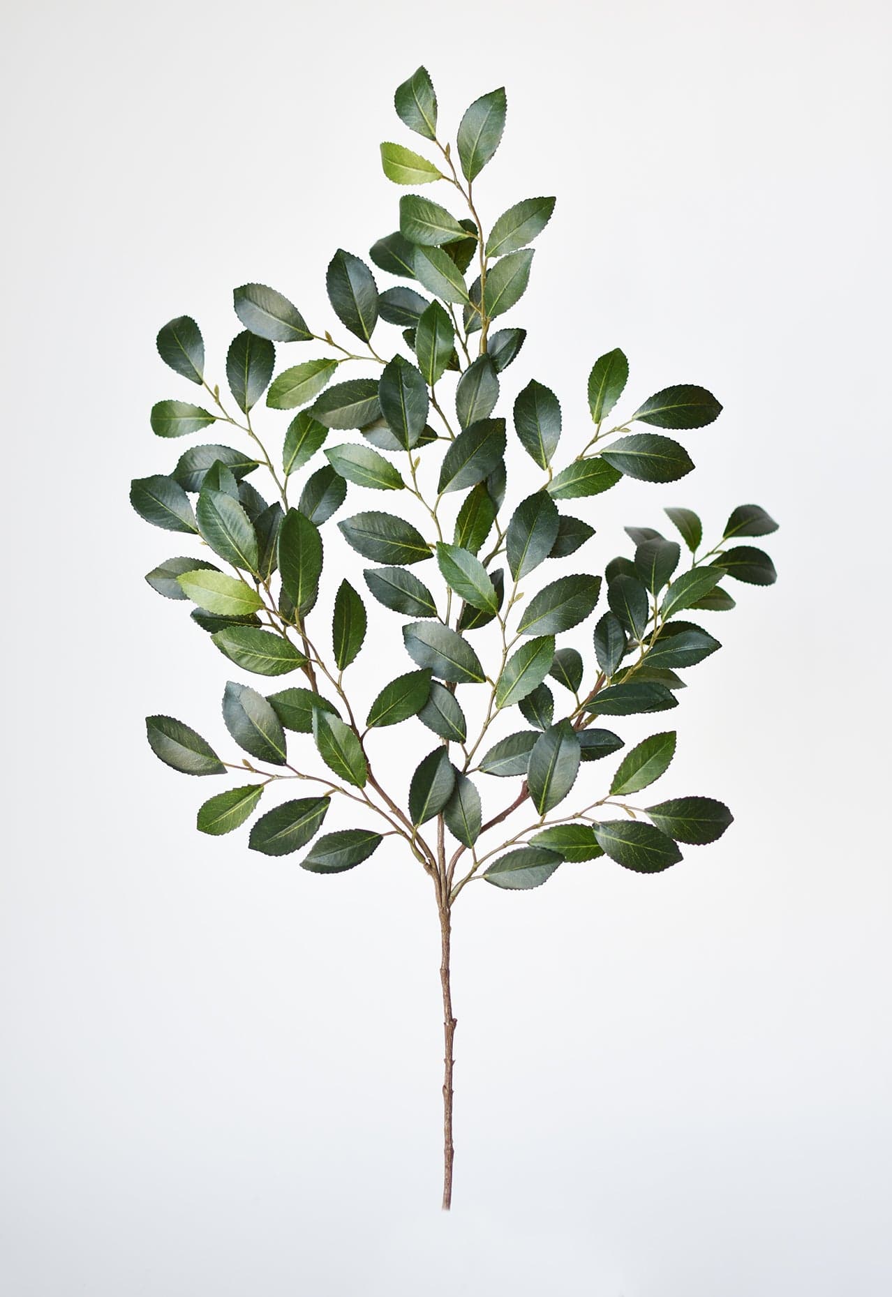 26" Faux Ruscus