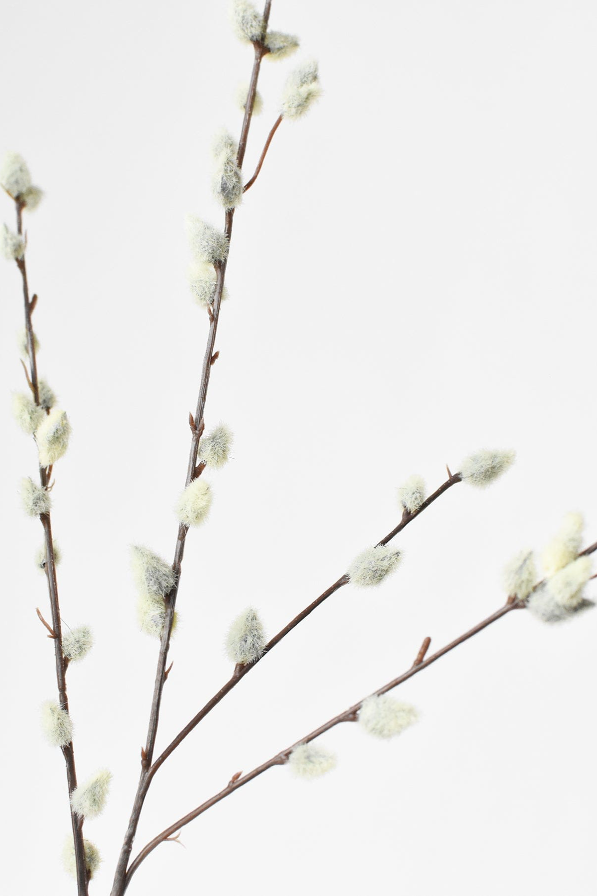 31" Faux Pussy Willow