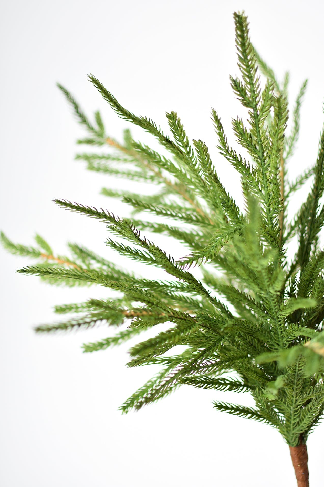 20" Faux Green Norfolk Pine Bush