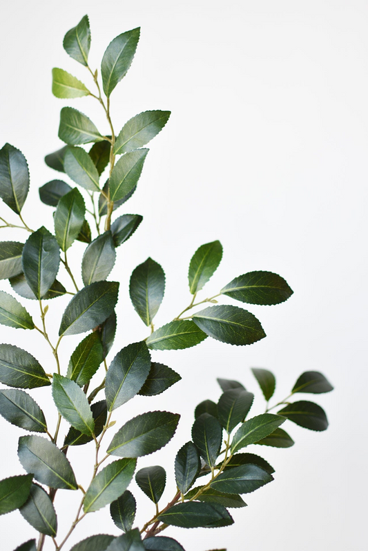 26" Faux Ruscus