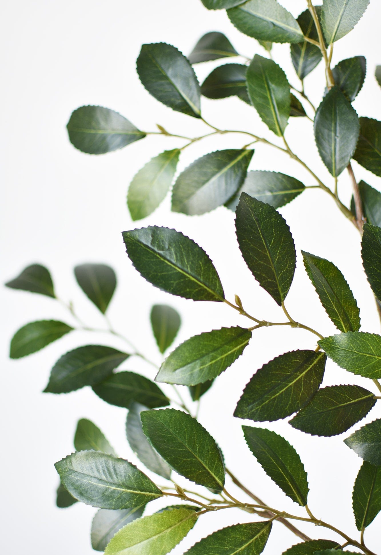 26" Faux Ruscus