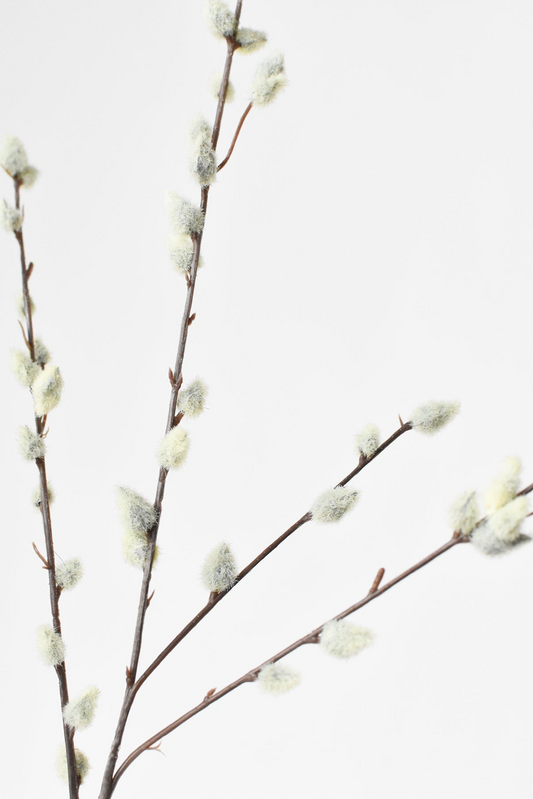 31" Faux Pussy Willow