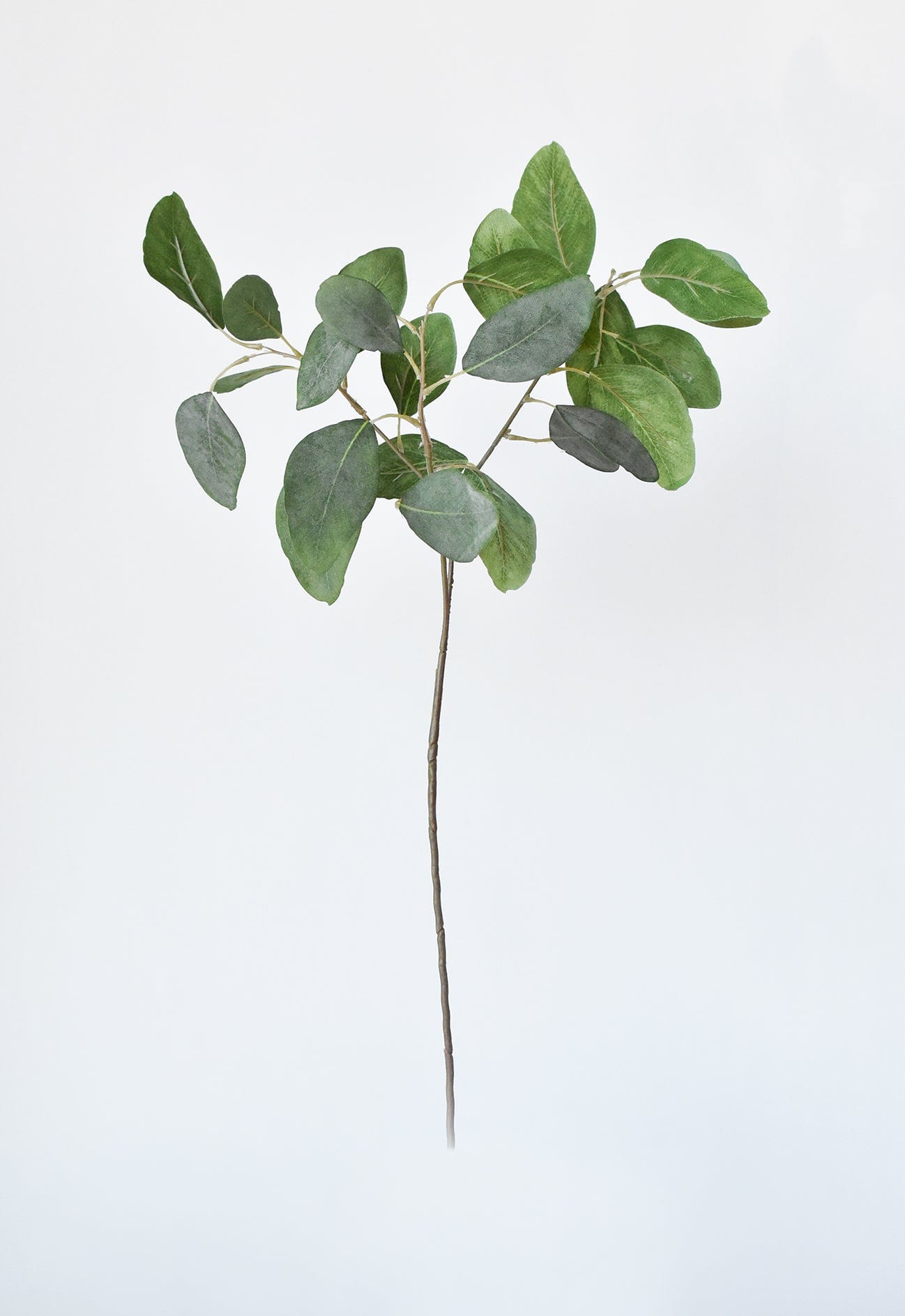 24" Faux Eucalyptus Leaf