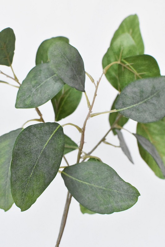24" Faux Eucalyptus Leaf